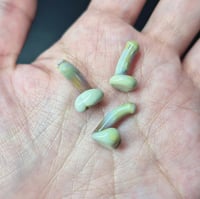 Image 3 of MINI PEEN  