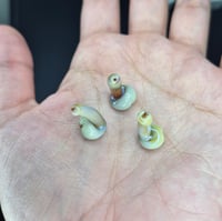 Image 5 of MINI PEEN  