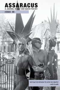Image 1 of Assaracus Issue 28: A Journal of Gay and Queer Poetry