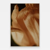 Image 1 of 'Palitun' – Giclée-trykk på høykvalitets syrefritt papir