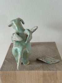 Image 5 of Dog with Broken Wing