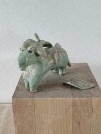 Image 6 of Dog with Broken Wing