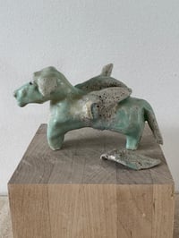 Image 7 of Dog with Broken Wing