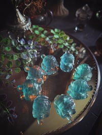 Image 1 of Fluorite turtles 