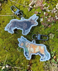 Image 8 of Baccio and Noukher (Wonder Bull) stickers/keychains