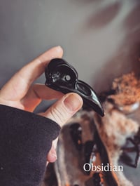 Image 2 of Obsidian raven skull 