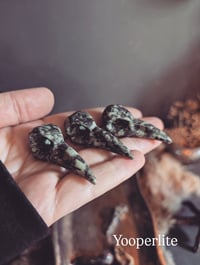 Image 3 of Mini Raven skulls 