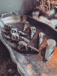 Image 1 of Mini Raven skulls 