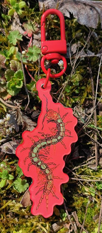 Image 5 of Centipede sticker/acrylic keychain
