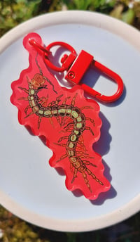 Image 4 of Centipede sticker/acrylic keychain