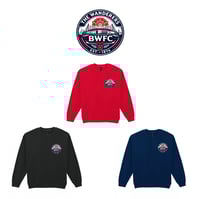 Image 5 of Bolton Wanderer's Print