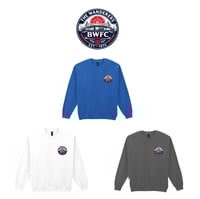 Image 6 of Bolton Wanderer's Print