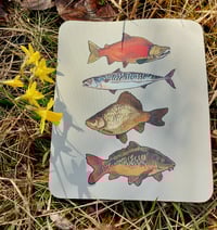 Image 2 of Mousepads