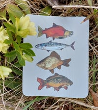 Image 5 of Mousepads