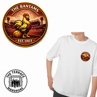 Image 2 of Bradford City Print