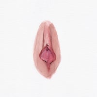 Vulva DM