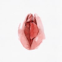 Vulva FK