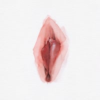 Vulva ER