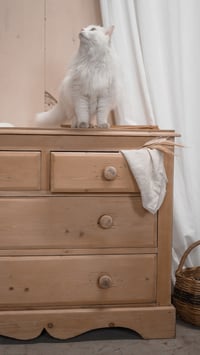 Image 3 of La commode anglaise