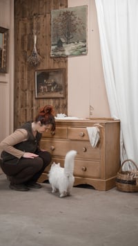 Image 6 of La commode anglaise