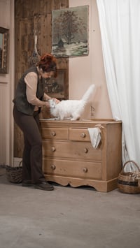 Image 5 of La commode anglaise