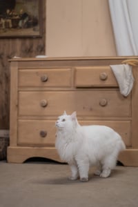 Image 14 of La commode anglaise