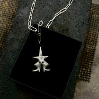 Image 2 of BIESA KLASYCZNA