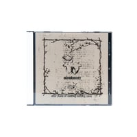 Image 1 of SUNSHOWER - "AFTER YEARS OF WAITING NOTHING CAME"