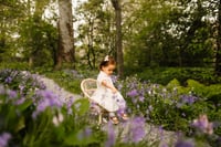 Image 1 of Spring Minis// April 25th (Goodstay Center)