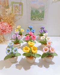 Image 1 of Bellflowers Pot