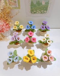 Image 2 of Bellflowers Pot