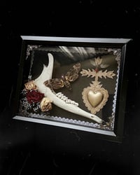 Memento Mori Deer Jawbone - Style 1