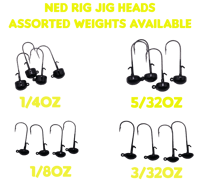 Image 1 of Ned Head Jigs (4 Pack)