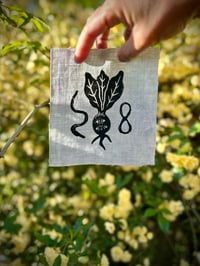 Image 1 of Seed Cult Patch