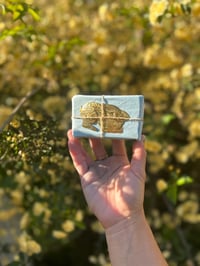 Image 4 of Wild Hare 