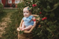 Image 4 of Wednesday August 26th 2026. Wildflower Farm- RETAINER ONLY 