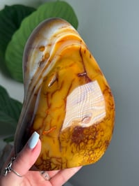 Image 5 of XL ORBICULAR CARNELIAN FREEFORM -MADAGASCAR-