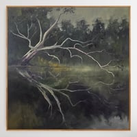 Image 1 of Reflections in Deep Green
