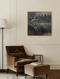 Image 4 of Reflections in Deep Green