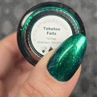 Image 3 of Toketee Falls 