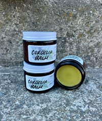 Image 3 of Cordelia Balm 
