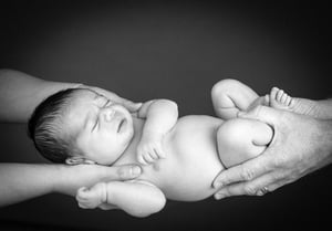 Image of Newborn Session