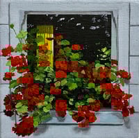 A Square Window with Geraniums