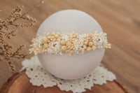 Newborn Half Halo 351