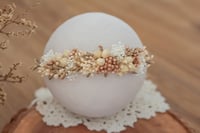 Newborn Half Halo 353