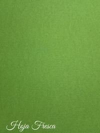 Hoja Fresca  Textured Cardstock 