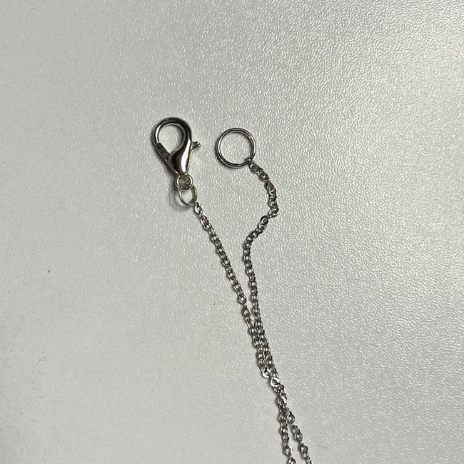 locket thin chain necklace 