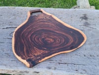 Image 6 of The Heartwood series -175