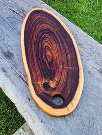 Image 6 of The Heartwood Series -177