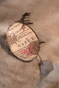 Image 12 of THE VOICE OF THE WIND.